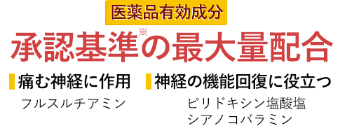 医薬品有効成分 承認基準の最大量配合