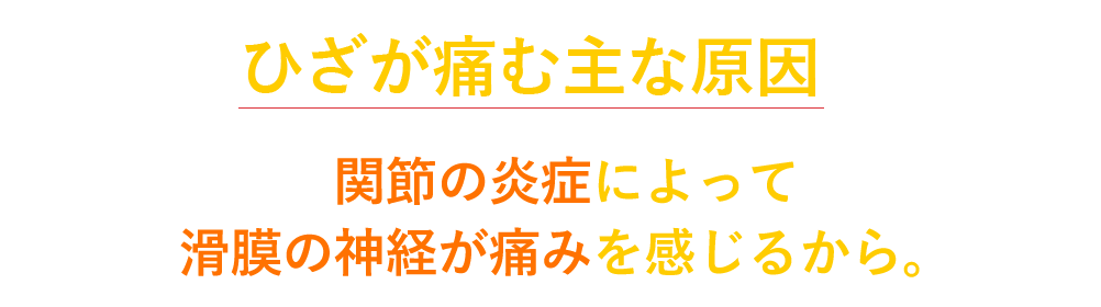 ひざが痛む主な原因は関節の炎症によって滑膜の神経が痛みを感じるから。