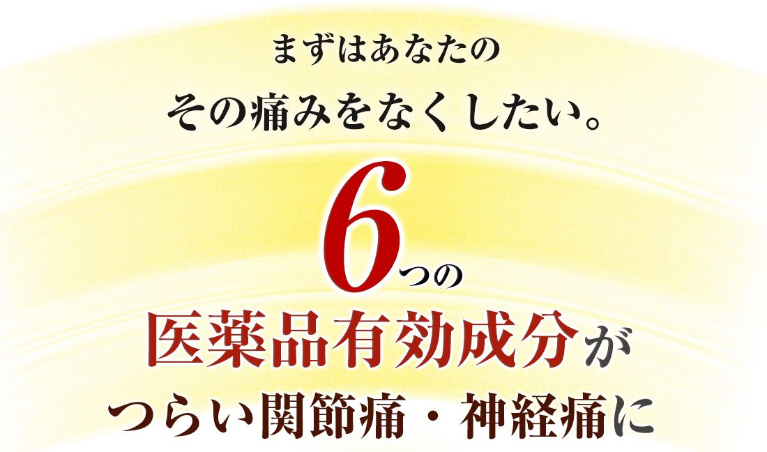 まずはあなたの その痛みをなくしたい。6つの医薬品有効成分がつらい関節痛・神経痛に