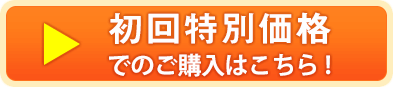 初回特別価格2,090円（税込）でのご購入はこちら!