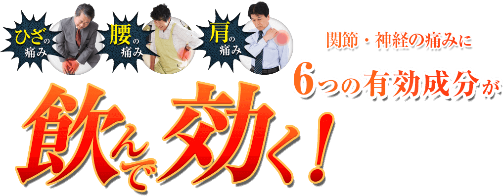 膝・肩・腰。関節痛・神経痛の痛みに6つの有効成分が飲んで効く！