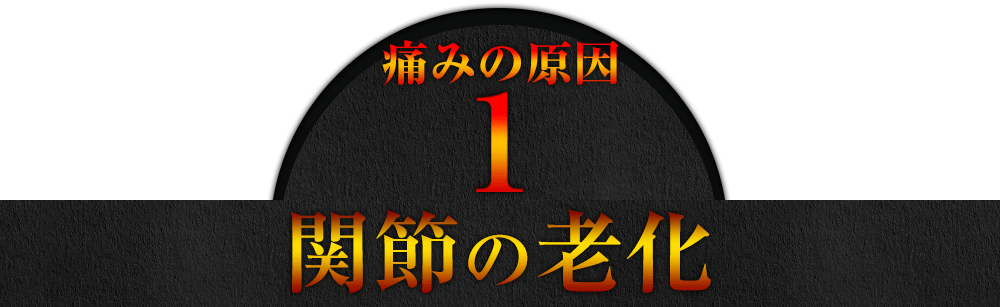 【痛みの原因1】関節の老化