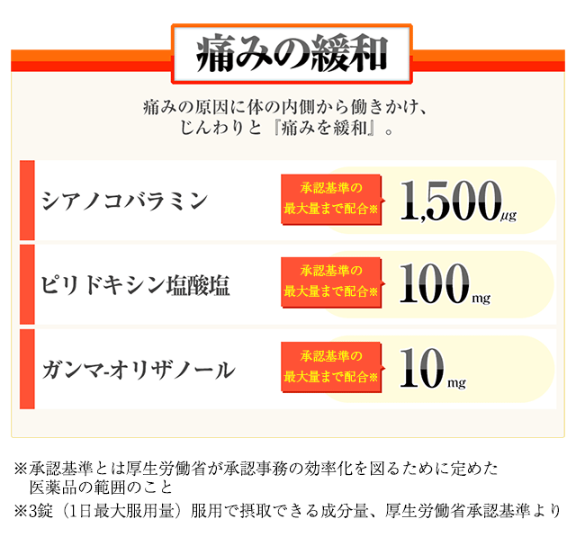 痛みの緩和・・・痛みの原因に体の内側から働きかけ、  じんわりと『痛みを緩和』。 